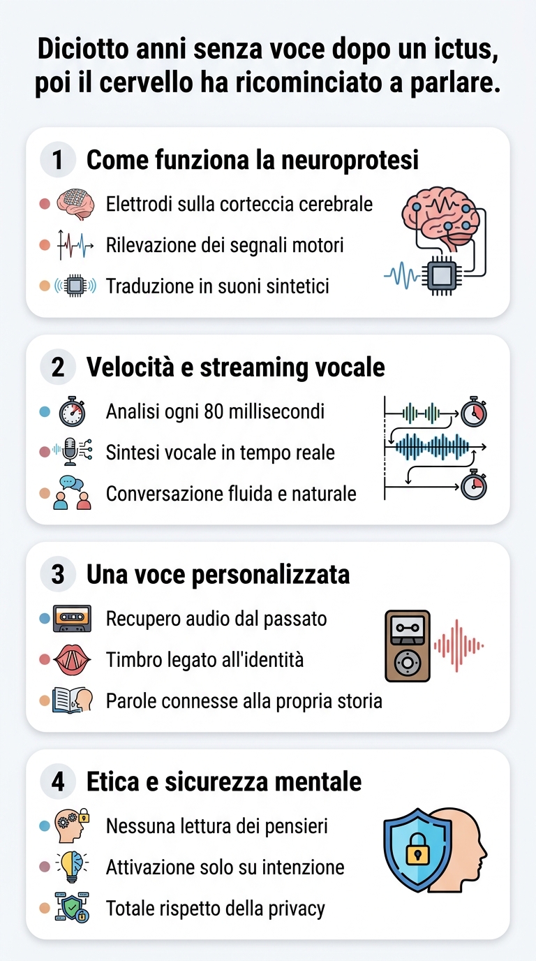 Infografica