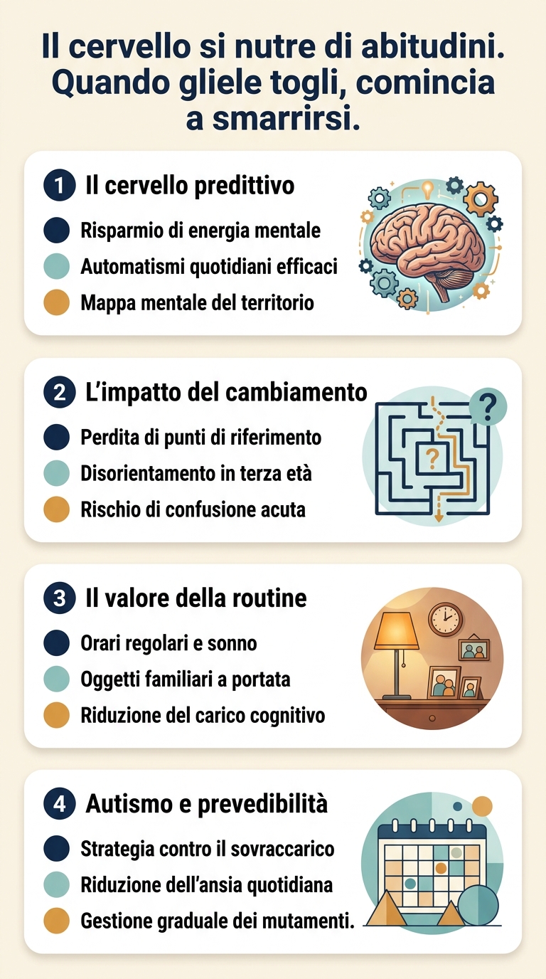 Infografica