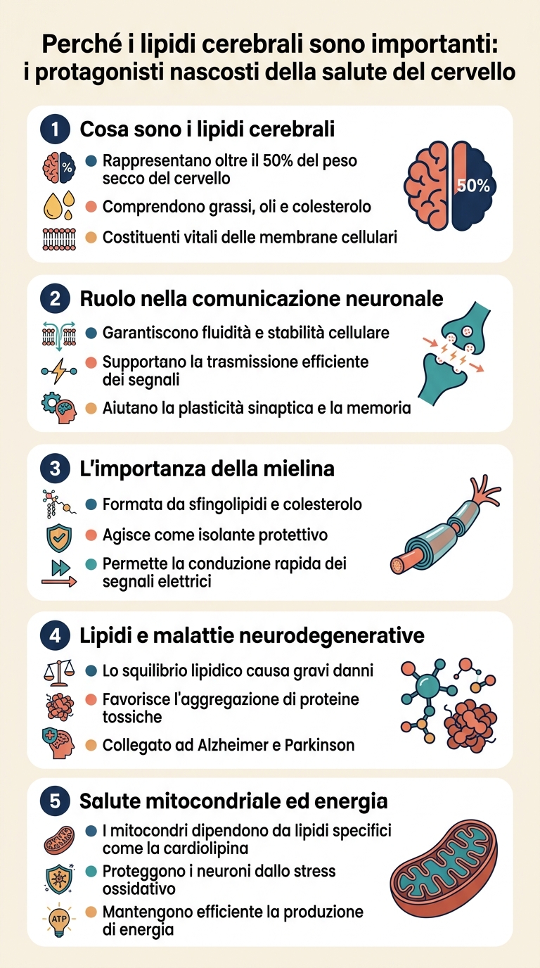 Infografica